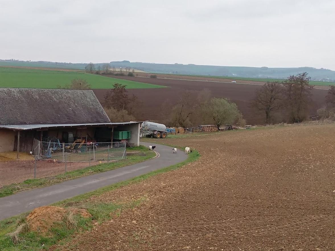 Ferienbauernhof Neumuehle Appartement Gappenach Buitenkant foto