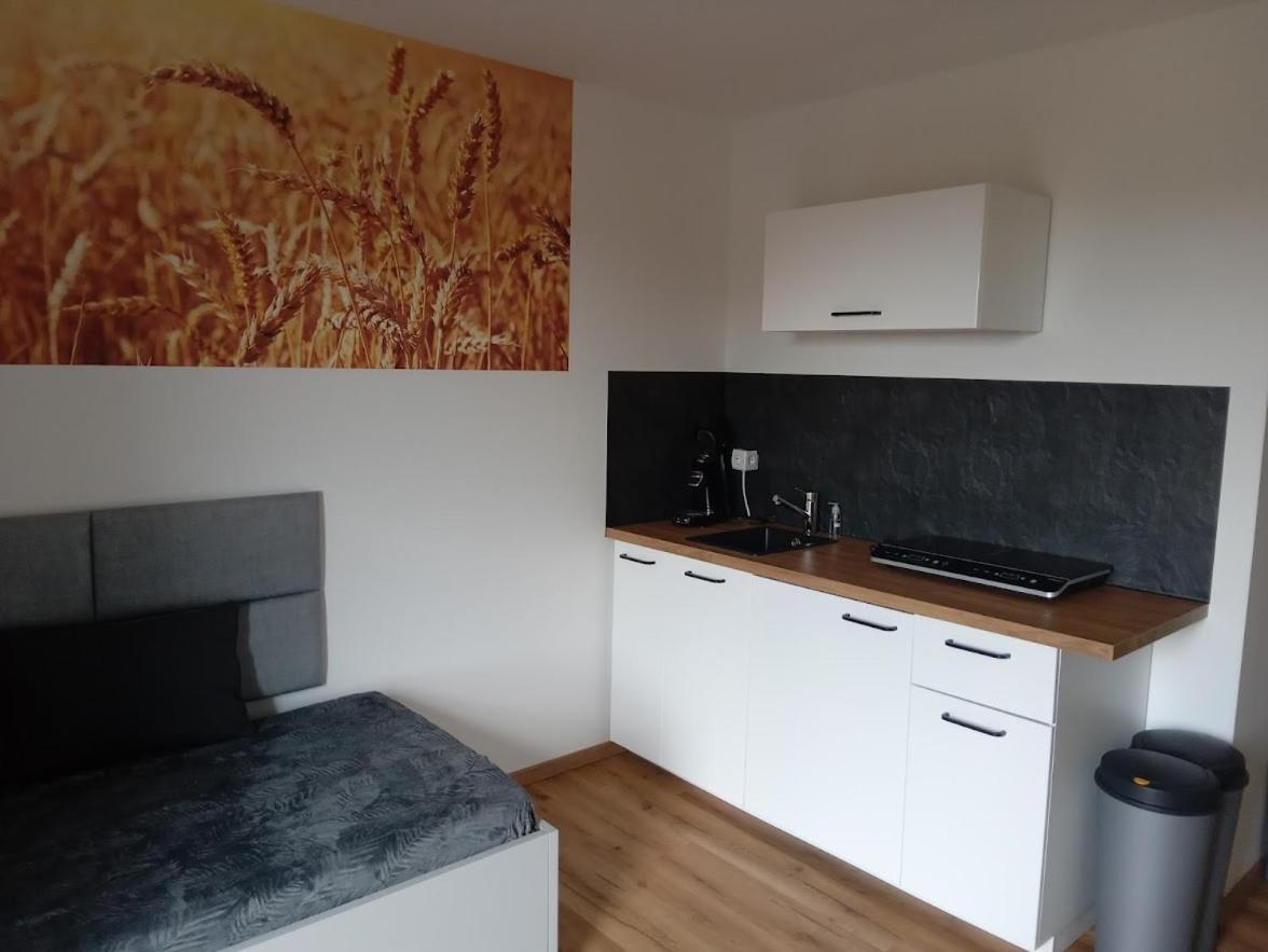 Ferienbauernhof Neumuehle Appartement Gappenach Buitenkant foto